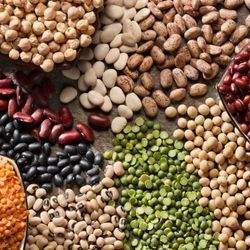 Pulses
